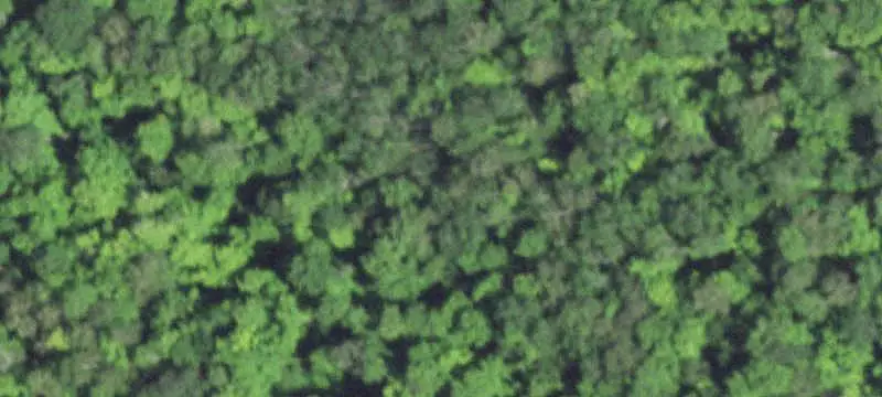 Hunting Land with Open Field
