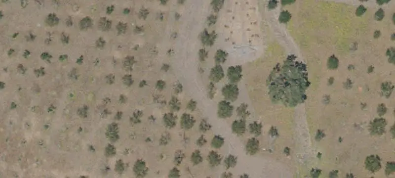 Farm with Apple Orchard