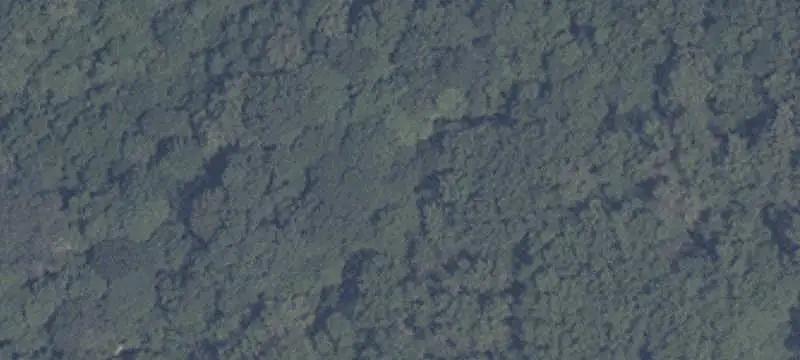 Wooded Hunting Land with River Boundary