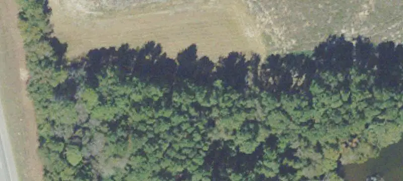 Commercial Corner Land