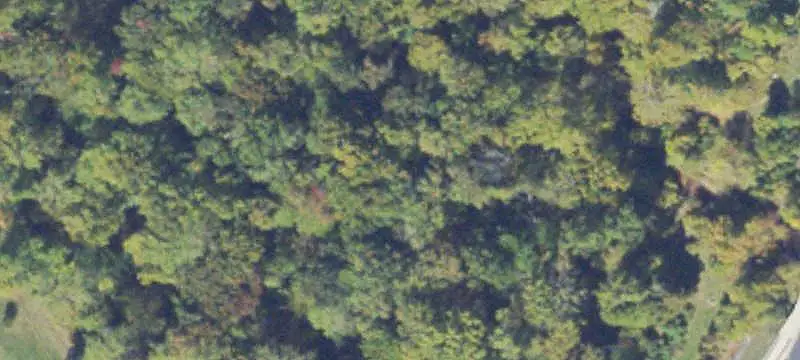 Bank Property with Ground Lease