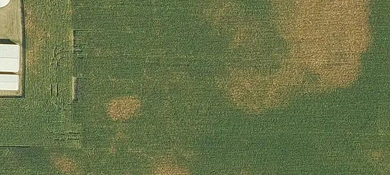 Farm Property with Steel Utility Buildings