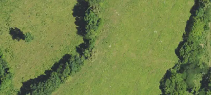 Hunting Land with Cabin