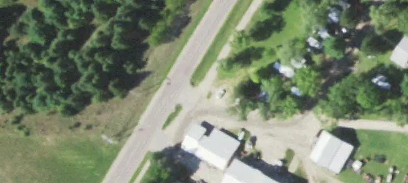 Wooded Campsite Campground