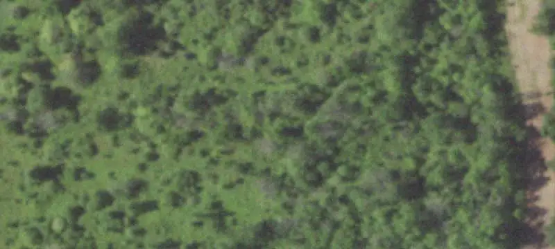 Unimproved Land