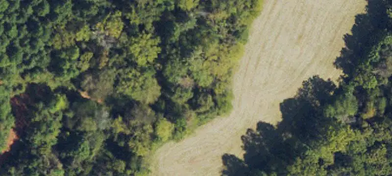 Agricultural Land