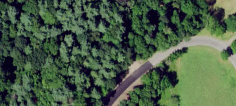 Hunting Land with Utility Shed