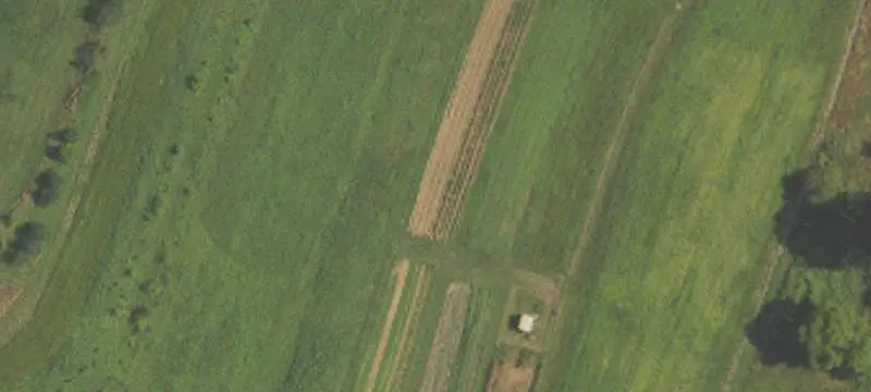Farm with Multiple Rental Homes