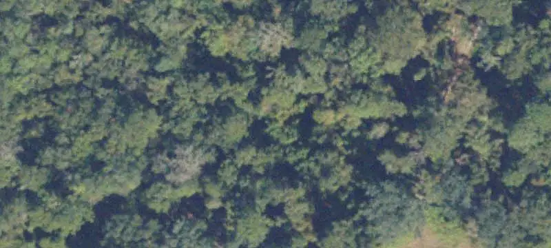 Agricultural Land with Paved Road Access