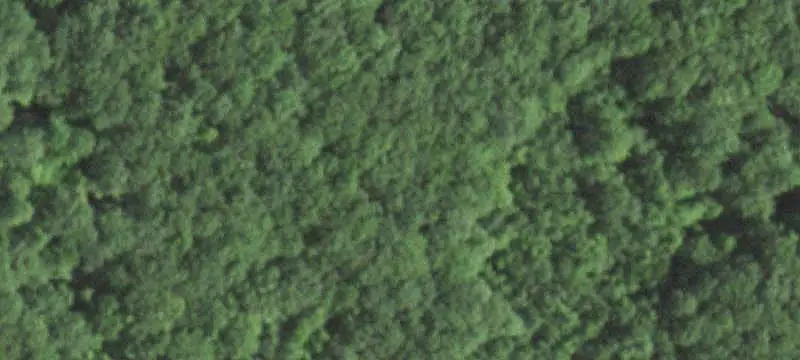 Wooded Hunting Land with Upland Sites