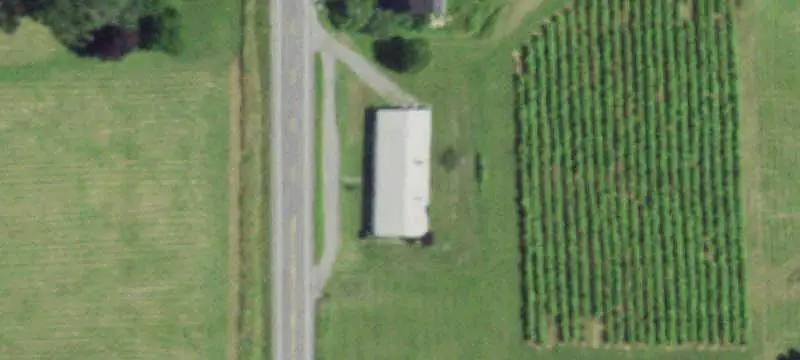 Vineyard with Historic Barn