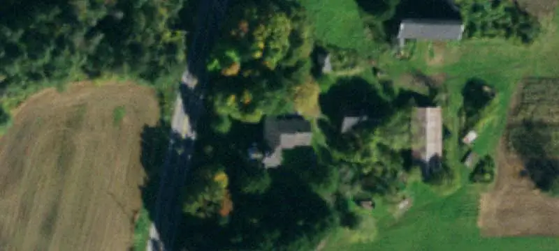 Wooded Hunting Land