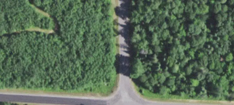Wooded Hunting Land