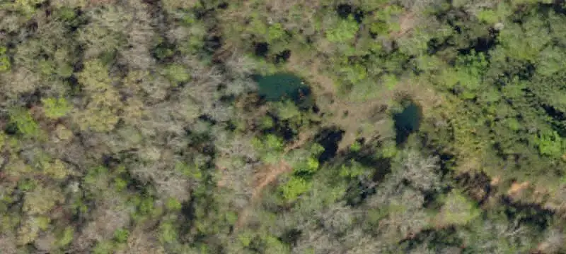 Land