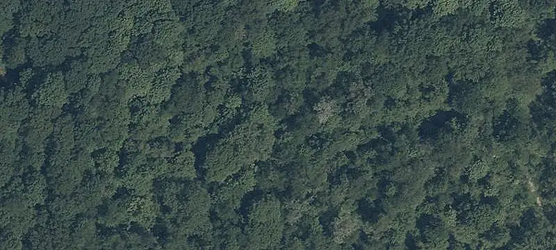 Permaculture Farm with Campsites
