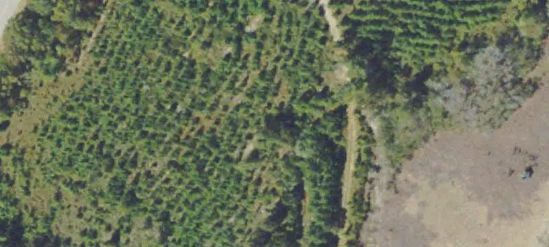 Hunting Land with Pondside Home