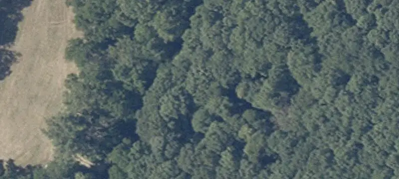 Hunting Land with Custom Home