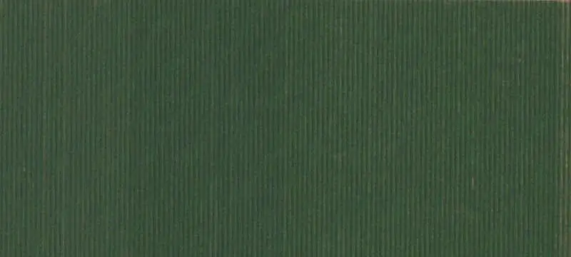 Strawberry Row-Crop Farm