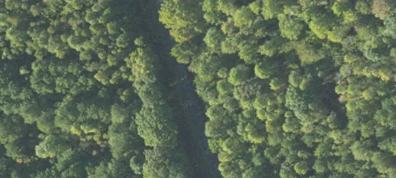 Hunting Land with Year-Round Creek