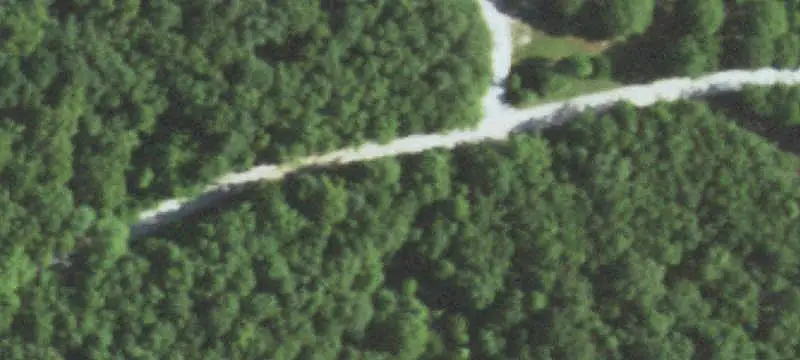 Wooded Hunting Land