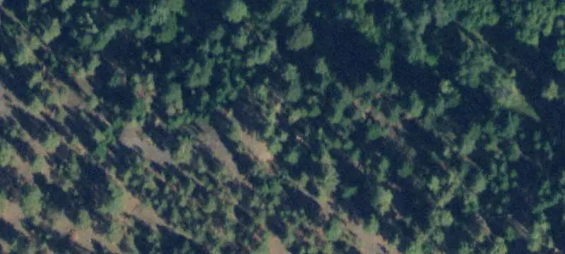 Land/Property