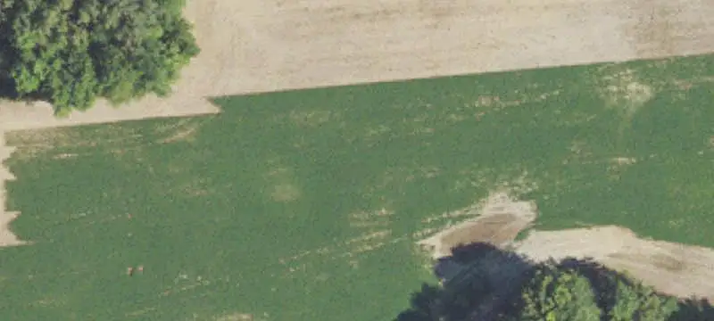Crop Farm with Brick Residence