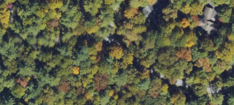Unimproved Land