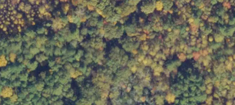 Non-Waterfront Land