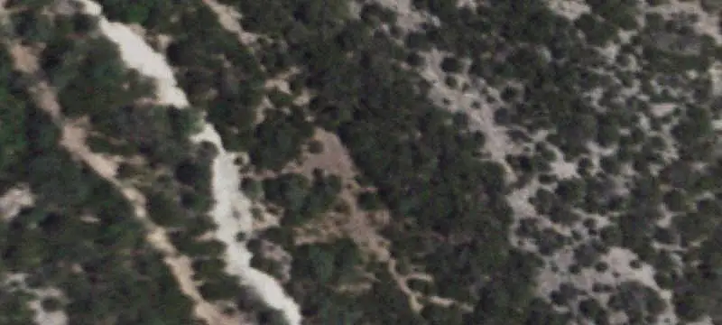 Hunting Land with Cabin
