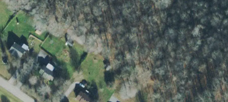 Wooded Land with Road Access