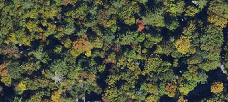 Unimproved Land