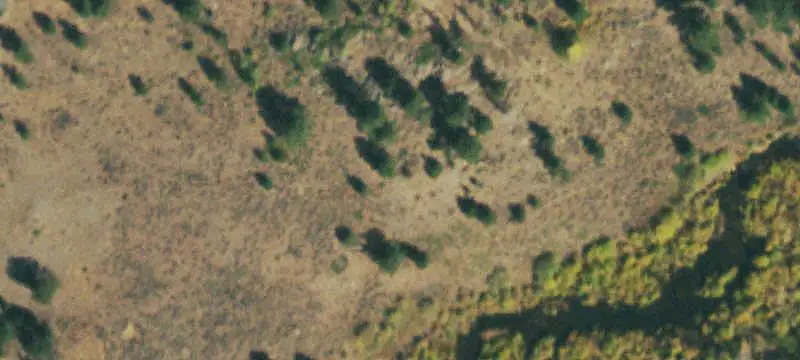 Unimproved Land