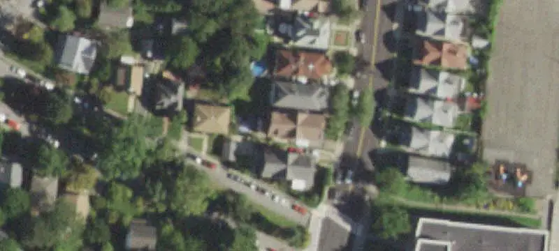 Duplex with Fruit-Tree Yard
