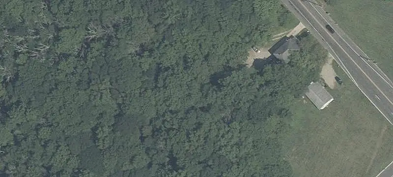 Wooded Commercial Land