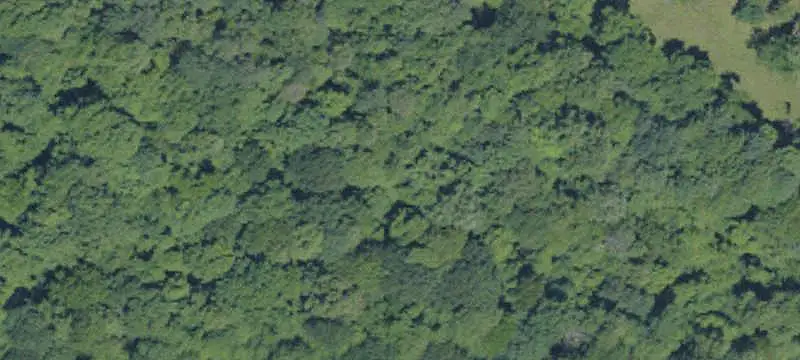 Lots & Land
