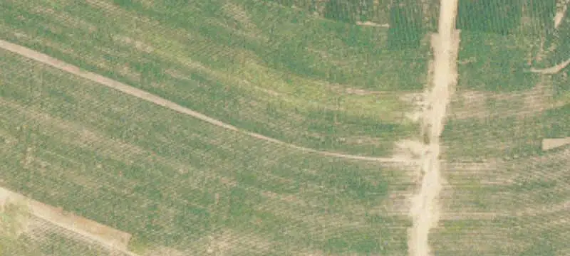 Cleared Agricultural Land