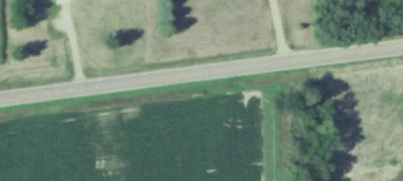Farmland with Timber Tract