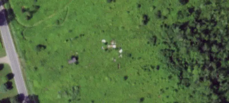 Recreational Land with Cabin