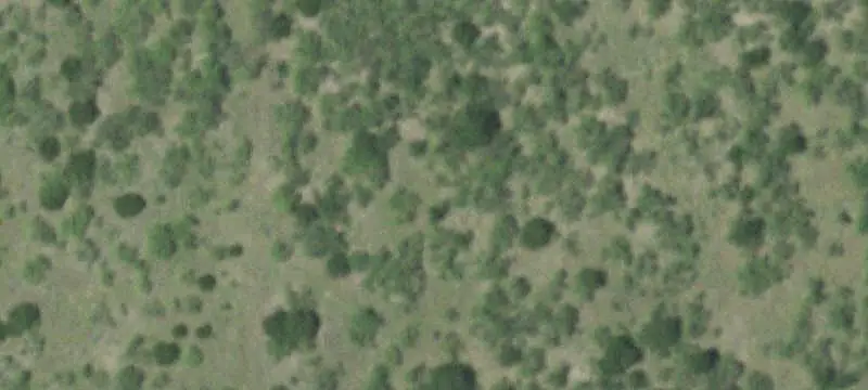 Unimproved Land