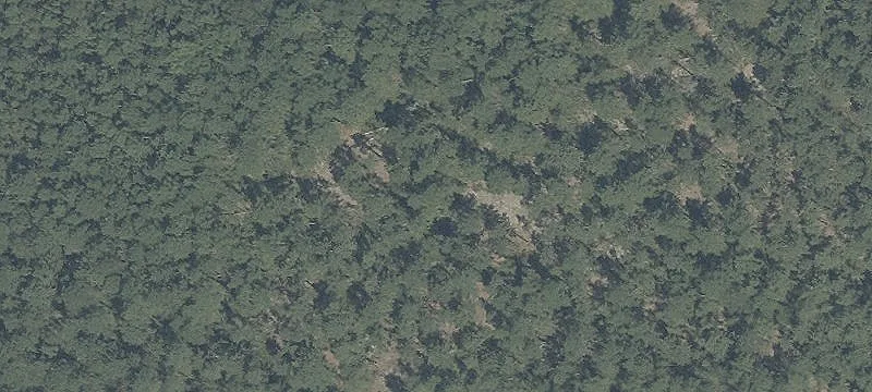 Commercial Land For Lease