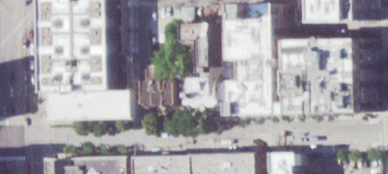 West Loop Extra-Long Yard