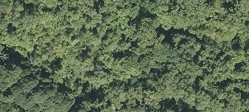 14.5 AC Zoned Land