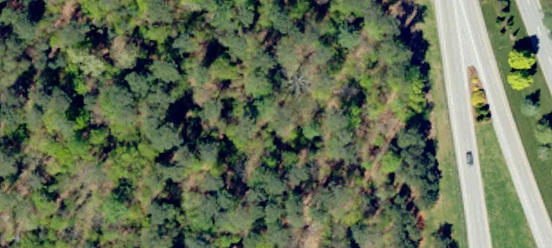 GSP Runway Frontage Land