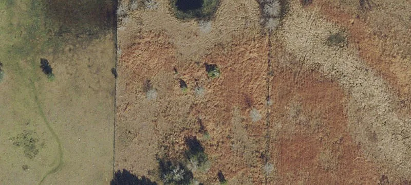 Pasco County Development Opportunity