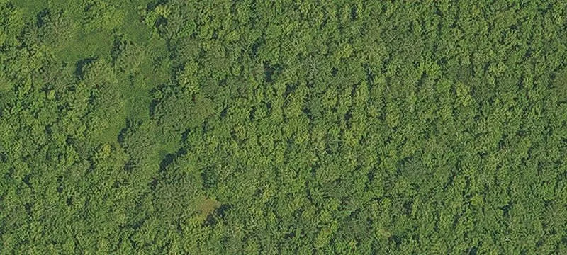 Prime Land Parcel I-55 Visibility