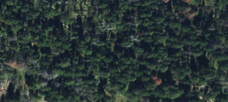Montana Land in Garnet Range
