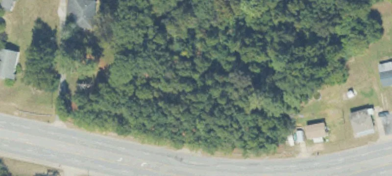 15.38 Acres on Buena Vista