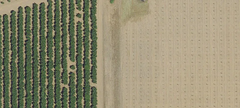 Marion County Land with Visibility