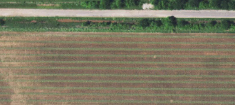 Raw Land For Sale