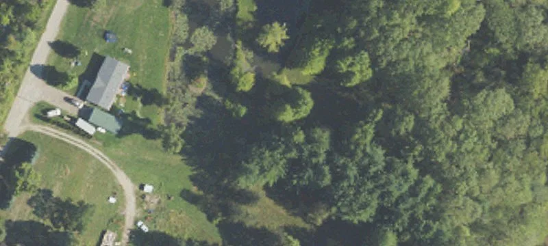 20+ Acres Hunting Land